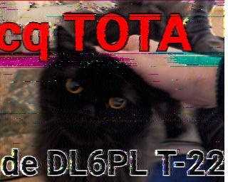 A decoded SSTV image of a cat with the text "cq TOTA de DL6PL T-22"